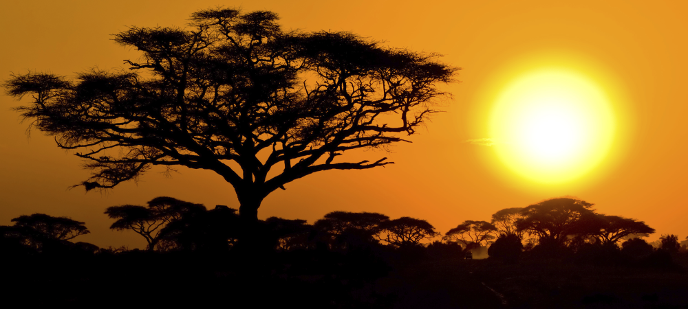 african sunset foto