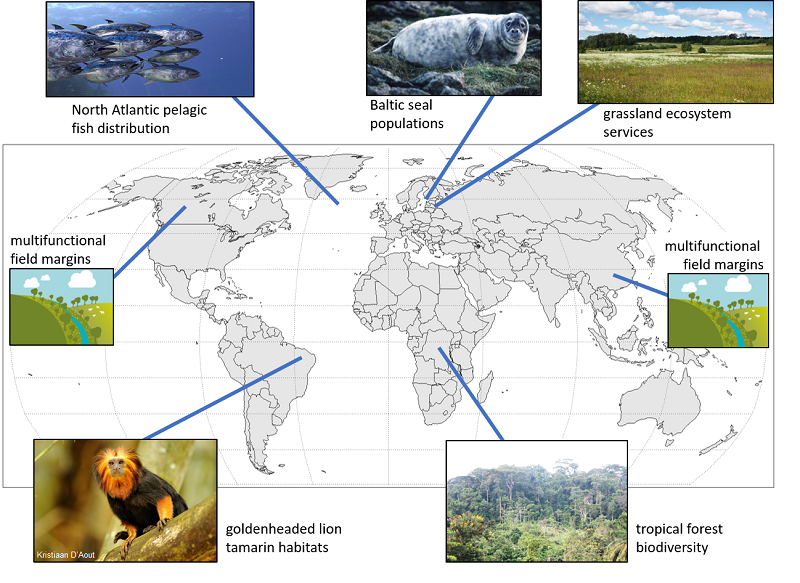 Protecting biodiversity from climate change | VITO