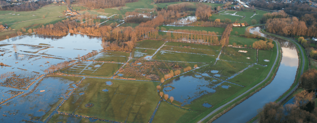 Mechels Broek - Wim Dirckx