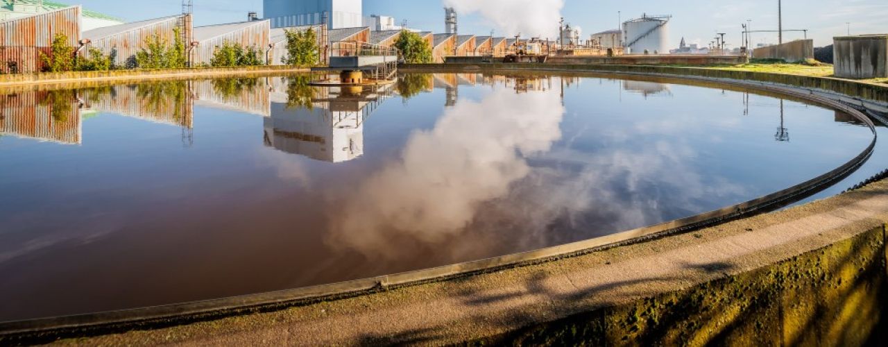 Tiense Suiker NEW WATER