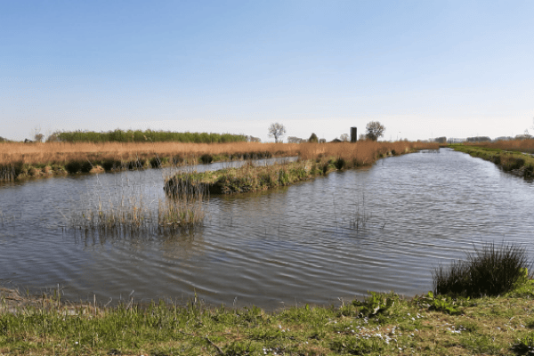 Met Aquatuur richting een robuuster klimaat