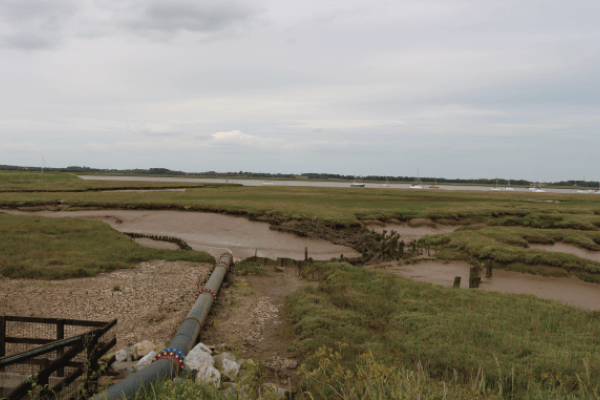 Leidingnetwerk en MAR voorzien water voor irrigatie in Britse Suffolk