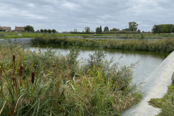 Kunnen filtersystemen een uitweg zijn voor het nutriëntenoverschot?