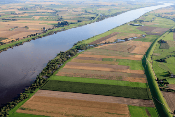 Veelbelovende demo voor kreekruginfiltratie als ondergrondse wateropslag