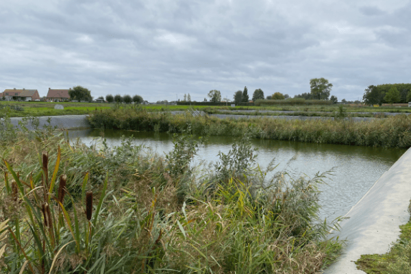 Einde van het NuReDrain-project: De boer op met nutriëntenfilters