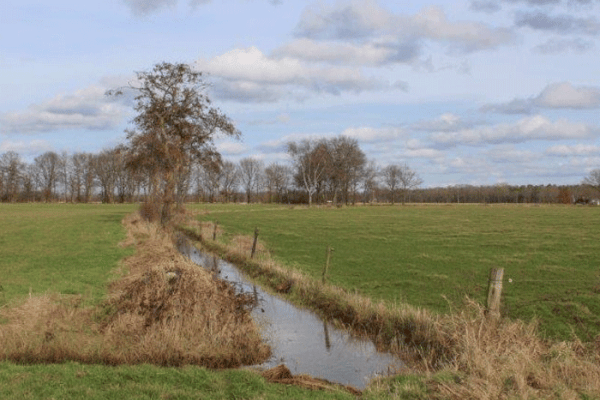 24 projecten krijgen groen licht in Water-Land-Schap 2.0