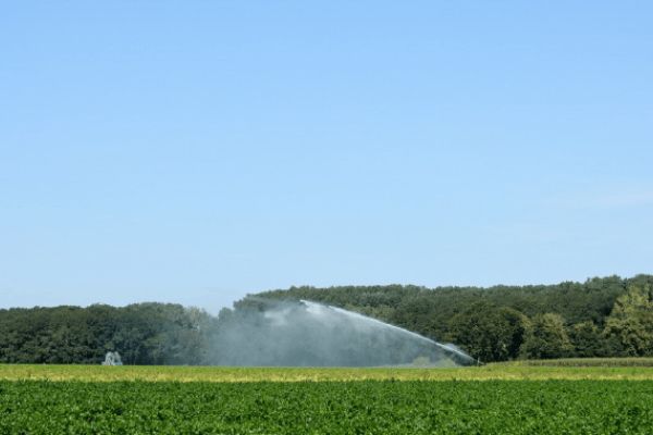 Gezuiverd afvalwater gebruiken voor irrigatie? Vraag je watertoelating aan!