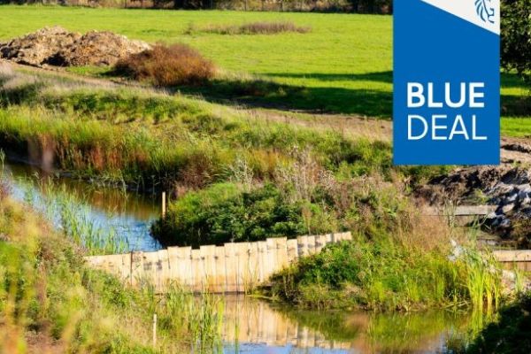 Lokale Blue Deals 2026