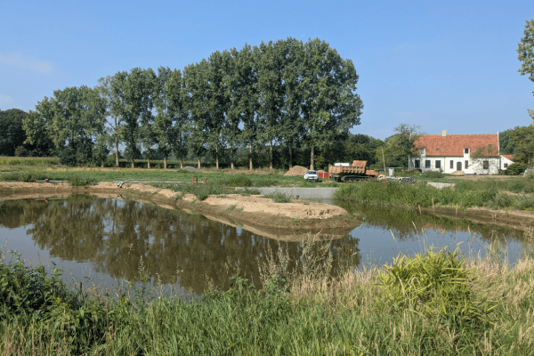 treatment wetland Aquatuur