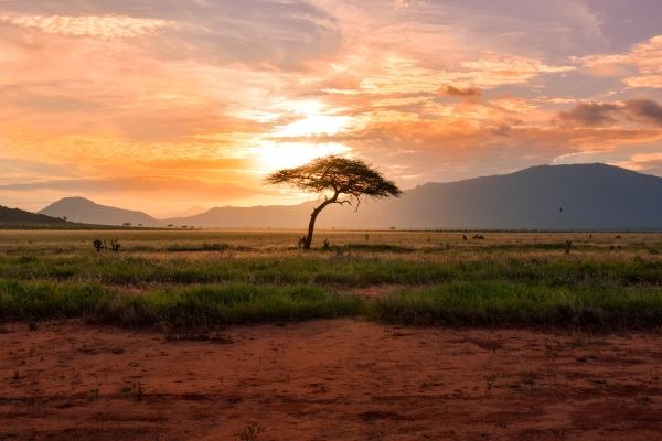 Afrika