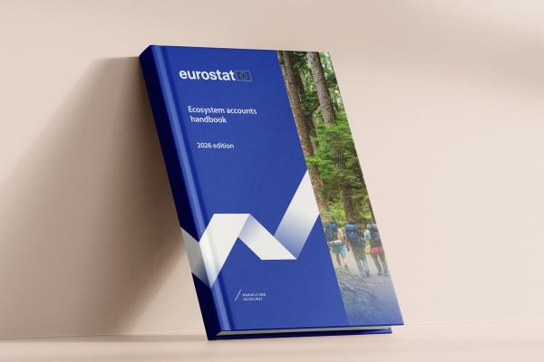 Handbook NCA Eurostat