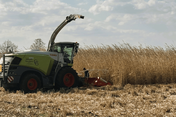 miscanthus-hires-banner