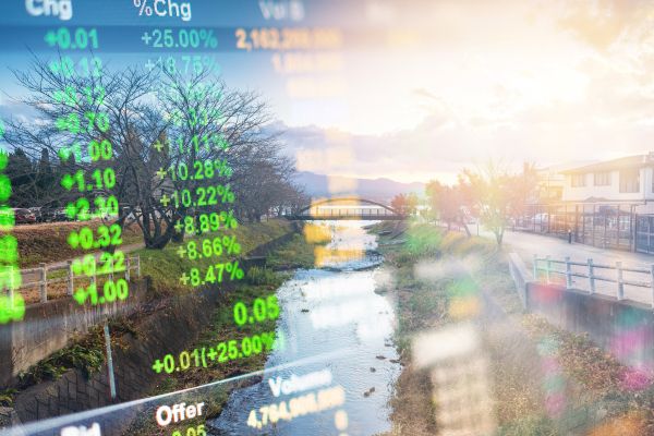 Natural Capital Accounting