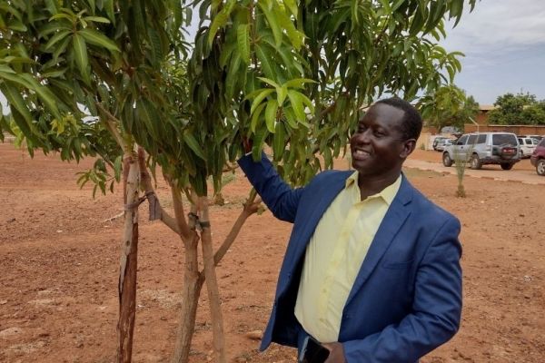 Niamey Climate Forest