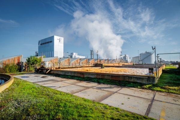 NEW WATER Tiense Suiker