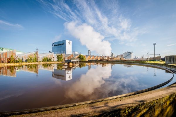 Tiense Suiker NEW WATER