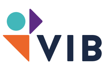 logo VIB