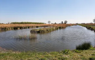 Met Aquatuur richting een robuuster klimaat