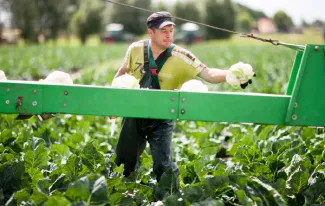 Wat leren praktijkprojecten ons over gezuiverd afvalwater hergebruiken voor irrigatie in de landbouw?