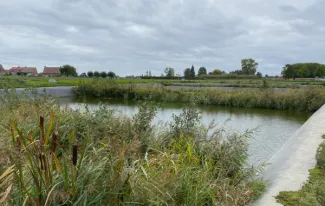 Einde van het NuReDrain-project: De boer op met nutriëntenfilters