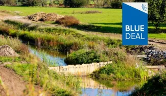 Lokale Blue Deals 2026