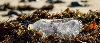 Plastic fles op gras