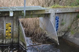 WIJ-Water peilmeter polder van Maldegem