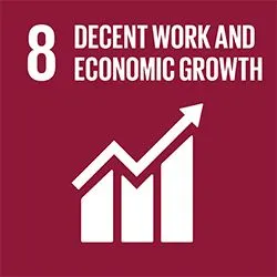 SDG 8