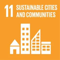 SDG 11