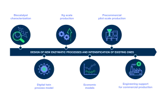 infographic enzymatic processes