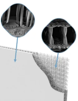 IPC membranen: energie-efficiënte en robuuste vlakkeplaatmembranen