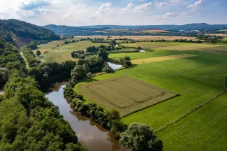 Groen natuurlandschap