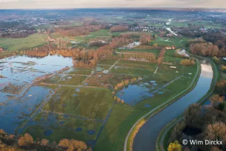 Mechels Broek - Wim Dirckx