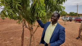 Niamey Climate Forest