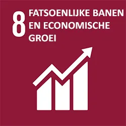 SDG 8