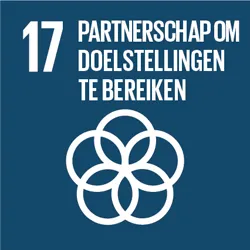 SDG 17