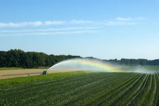 irrigatie watertoelating sproeien gewas veld