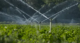 water-sprinklers-irrigating-a-field-istock-638155104