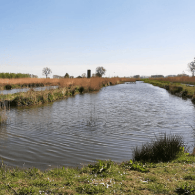 Met Aquatuur richting een robuuster klimaat