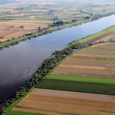 Veelbelovende demo voor kreekruginfiltratie als ondergrondse wateropslag