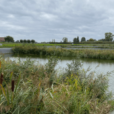 Einde van het NuReDrain-project: De boer op met nutriëntenfilters