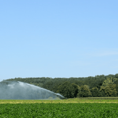 Gezuiverd afvalwater gebruiken voor irrigatie? Vraag je watertoelating aan!